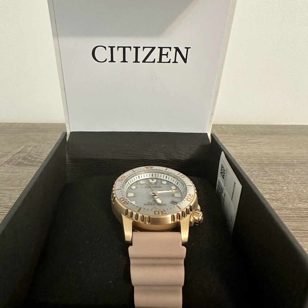 Citizen Promaster Dive Watch NIB